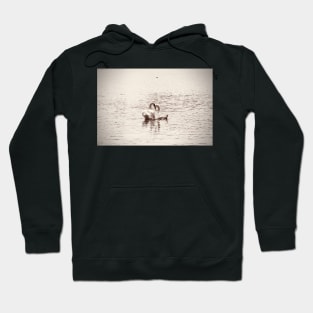 Schwäne Herz / Swiss Artwork Photography Hoodie